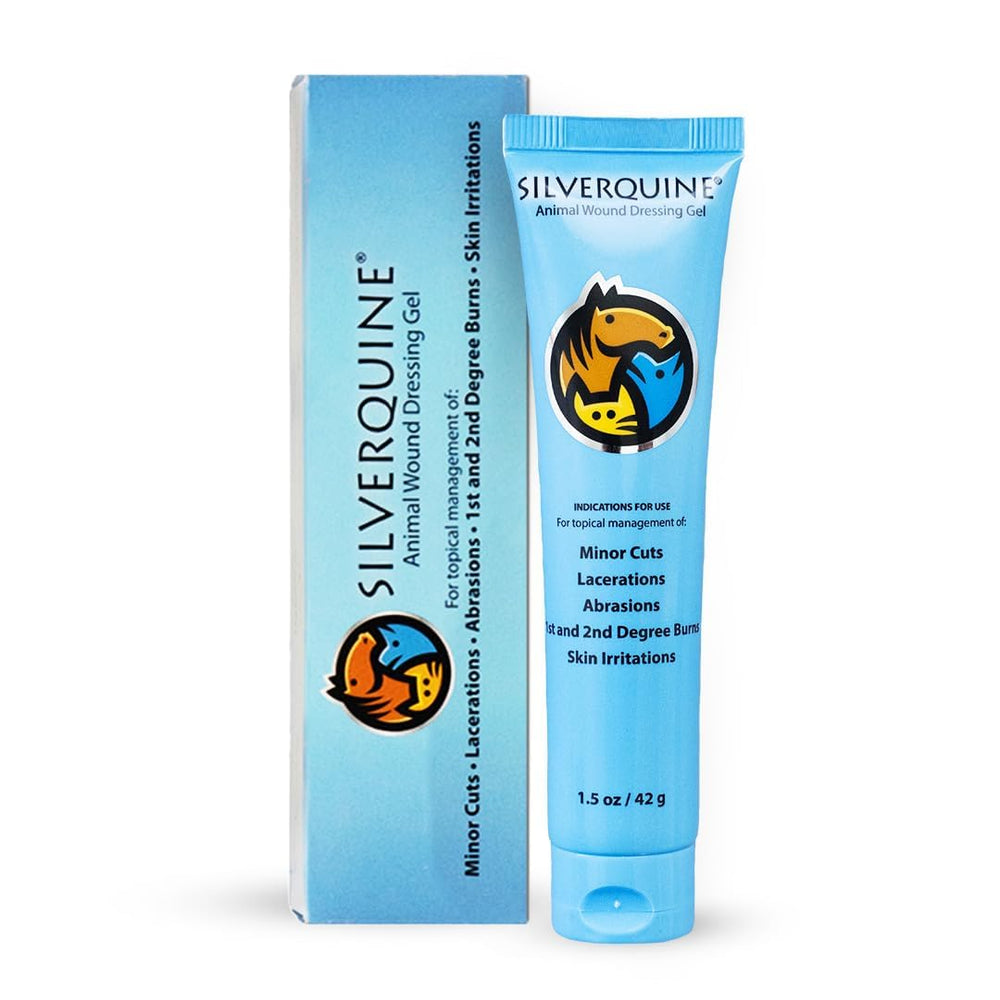 Silverquine dog wound care gel bottle closeup showing clear hydrogel for gentle wound care
