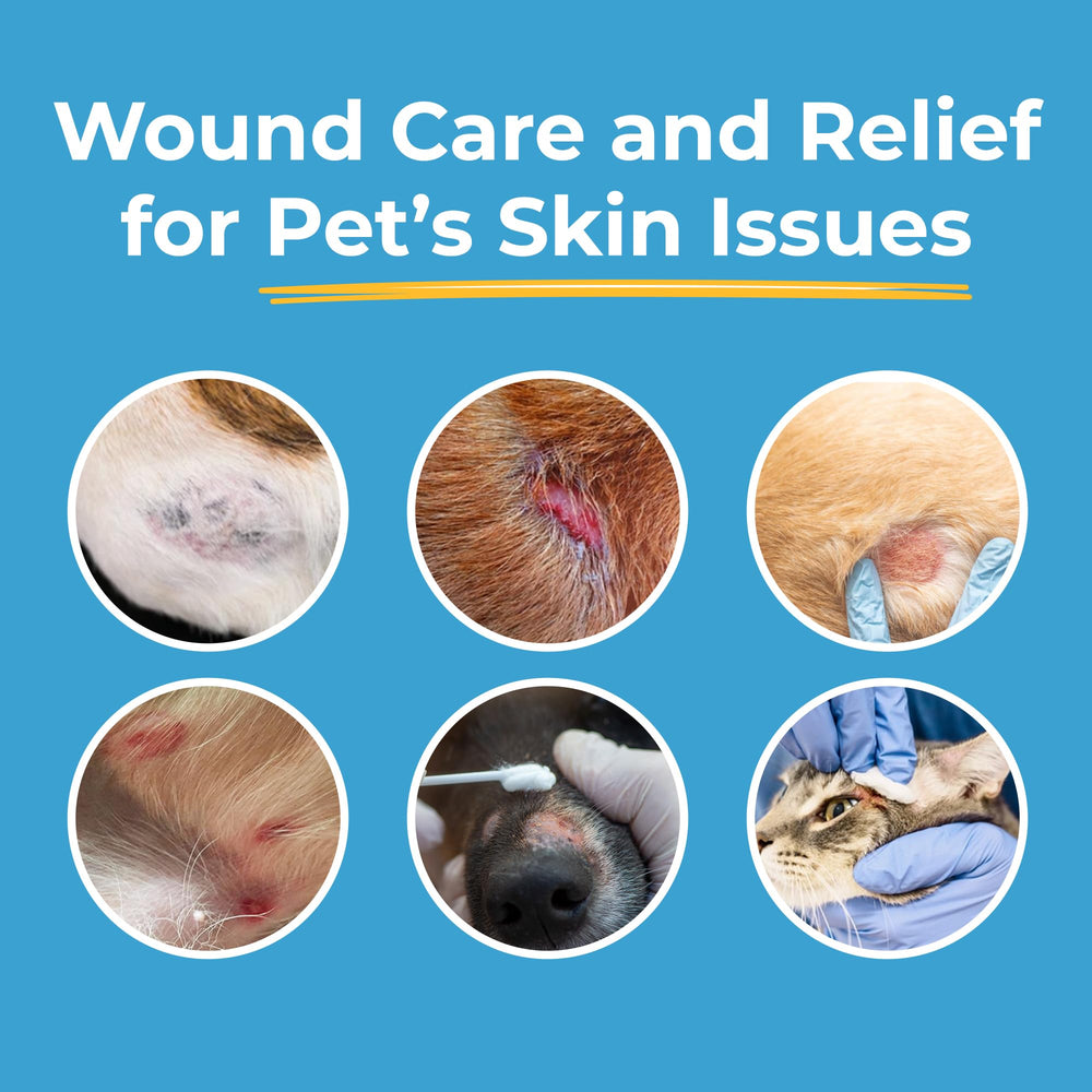 Silverquine pet emergency kit essential image highlighting first-aid readiness