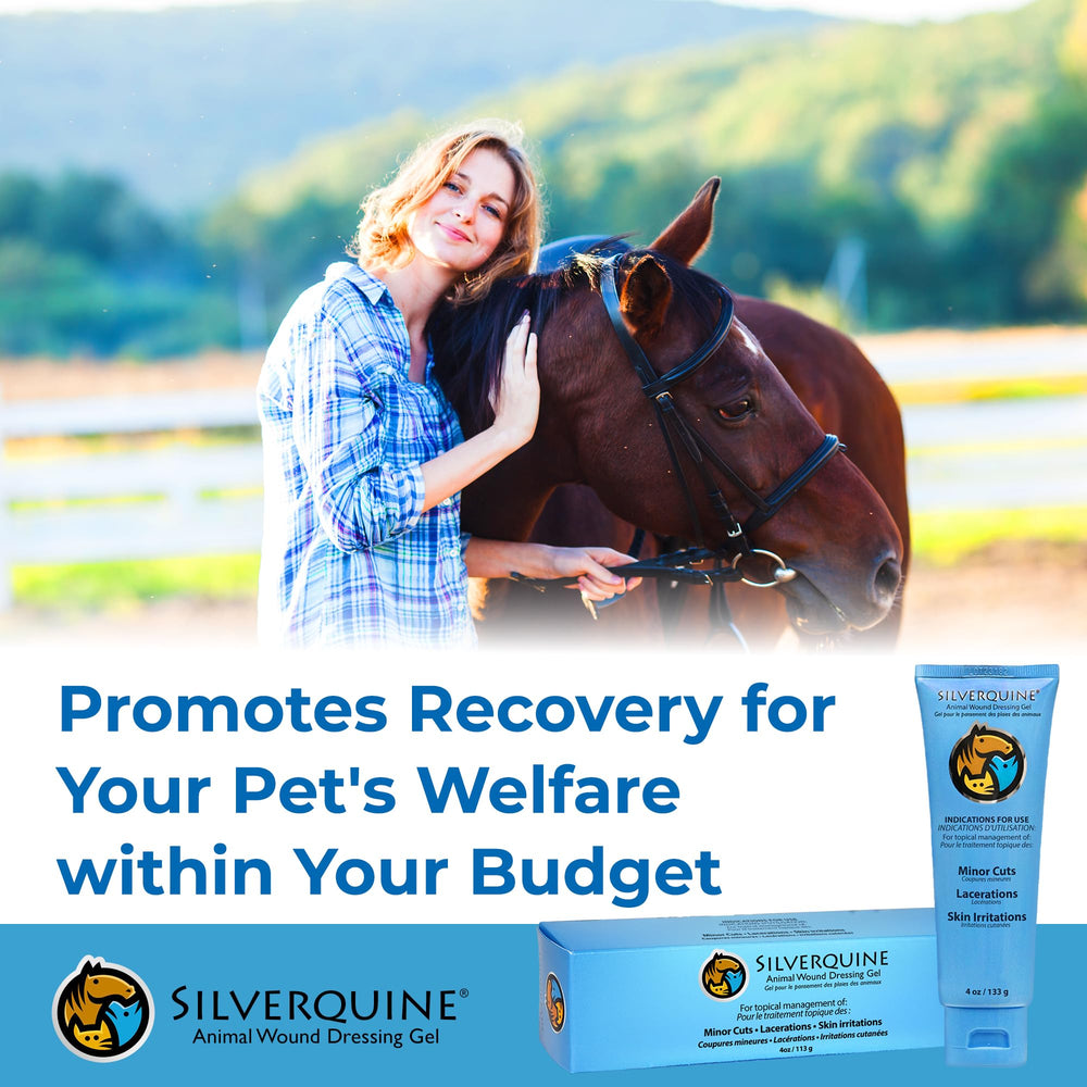 Silverquine pet emergency kit scene illustrates versatile wound care for dogs and cats.