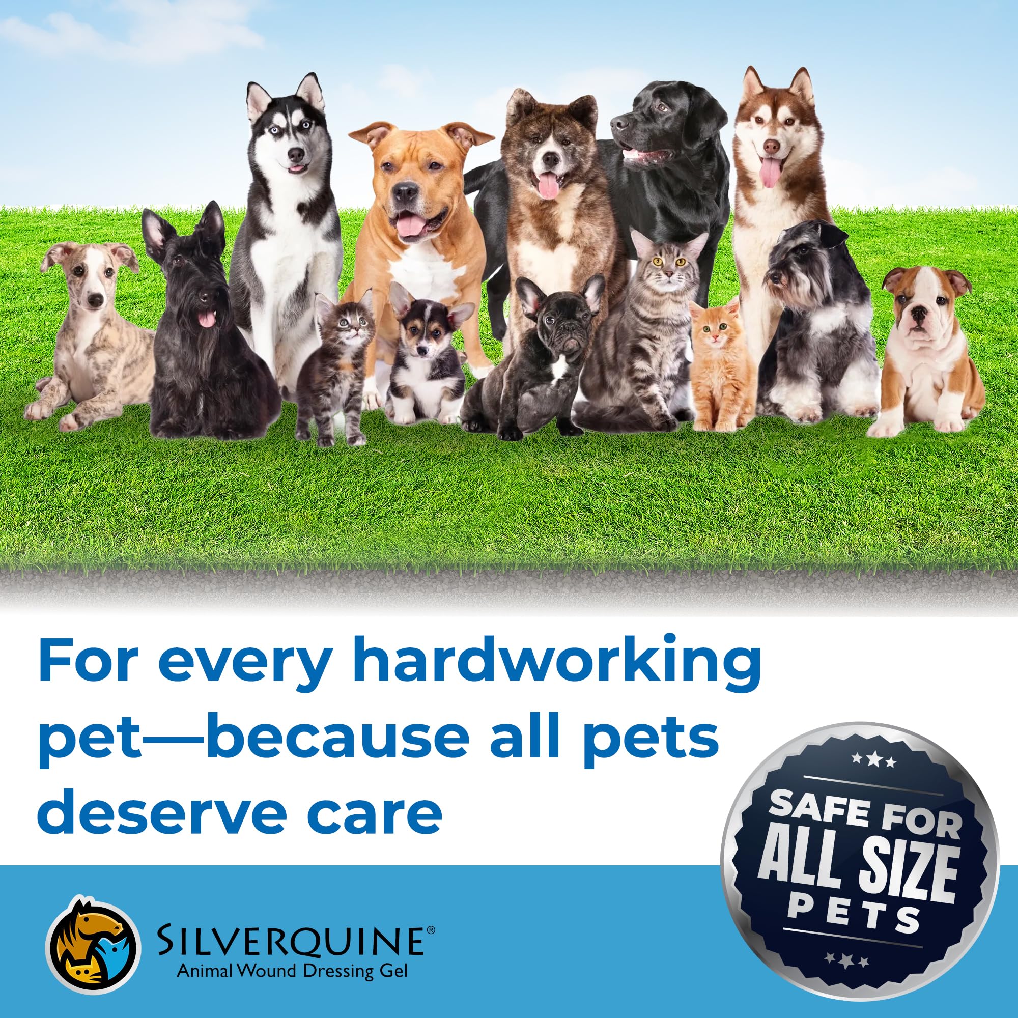 Silverquine USA-made veterinary-tested label seen with confident pet caregivers.