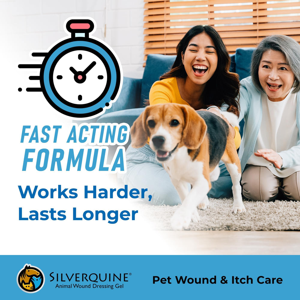 Silverquine vet-approved wound gel in testing environment for professional endorsement