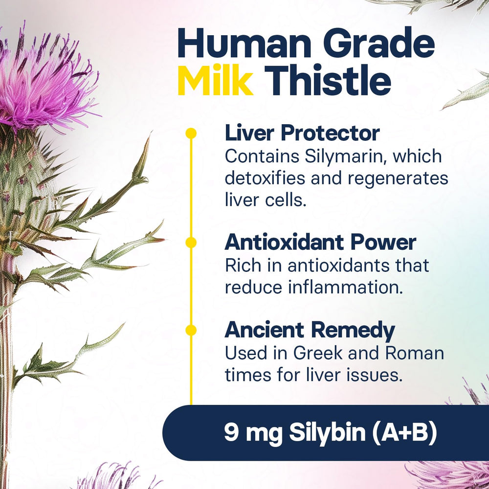 SilymarinAdvanced liver-detox visual illustrates toxin reduction for canine liver health.