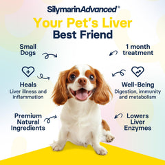 SilymarinAdvanced milk-thistle formula ingredients emphasize natural, pure dog supplement.