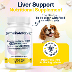 SilymarinAdvanced SAMe and Silybin tablet close-up highlighting cognitive support for dogs.