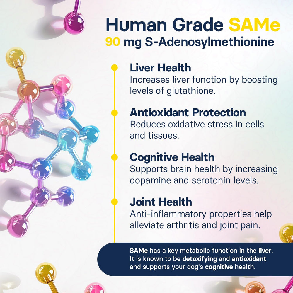 SilymarinAdvanced vet-designed packaging communicates trusted canine liver health.