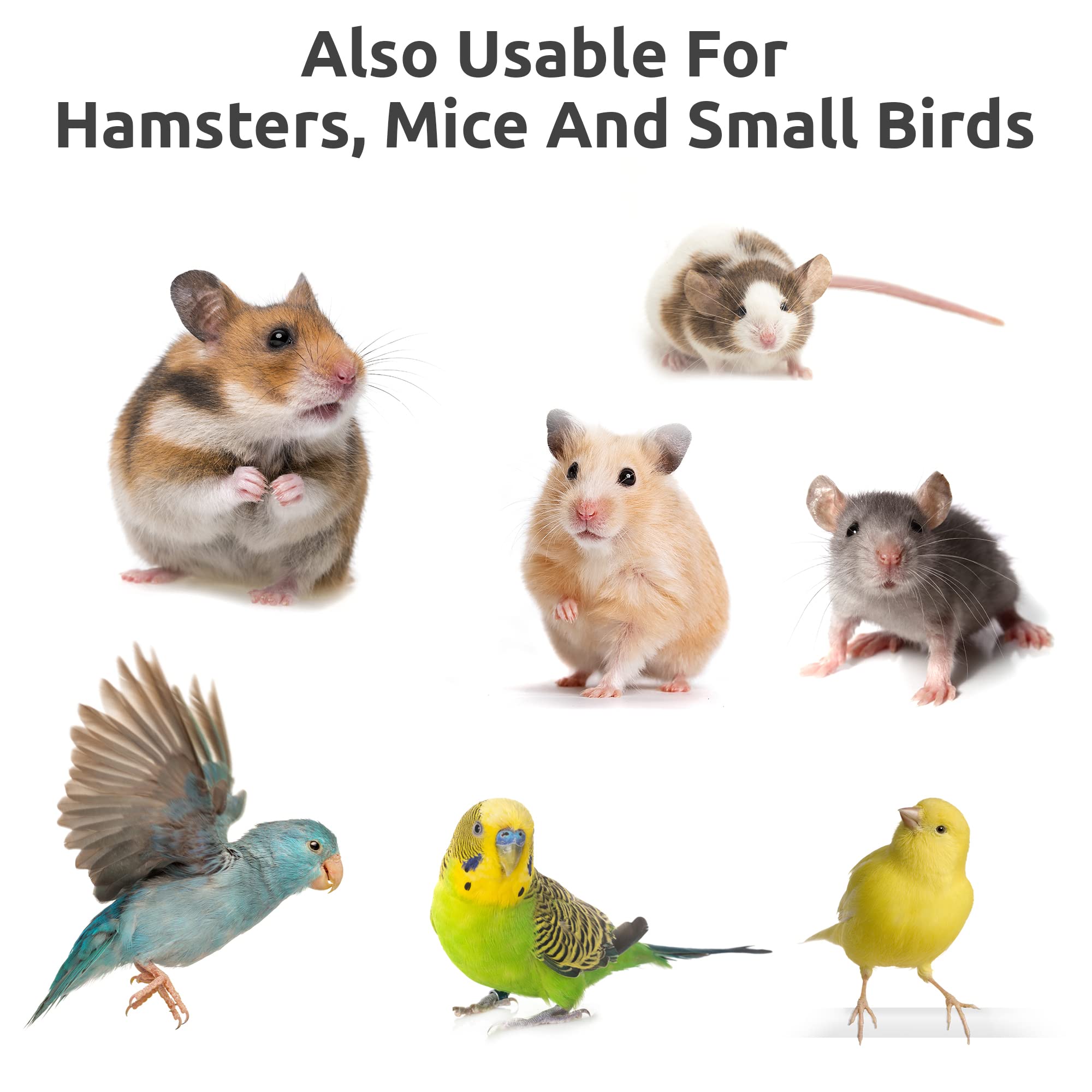 SIMENA bird-activity-toy-promotes daily exercise and mental engagement.