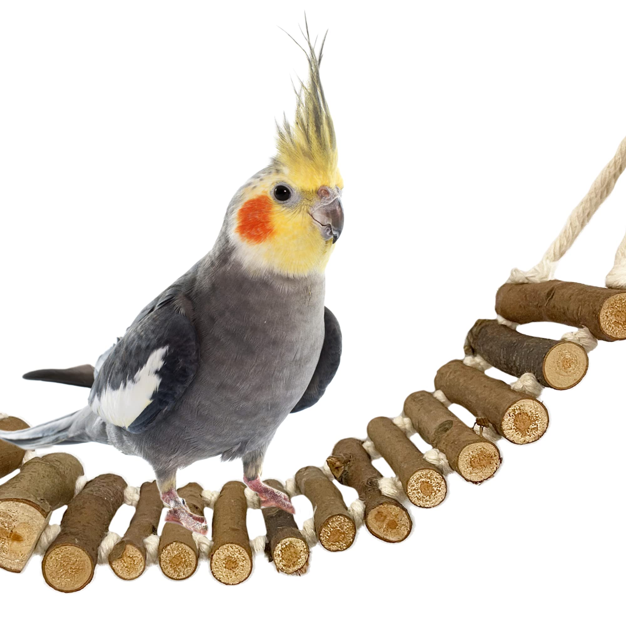 SIMENA bird cage ladder-wood-rope-bridge provides safe enrichment for small parrots.