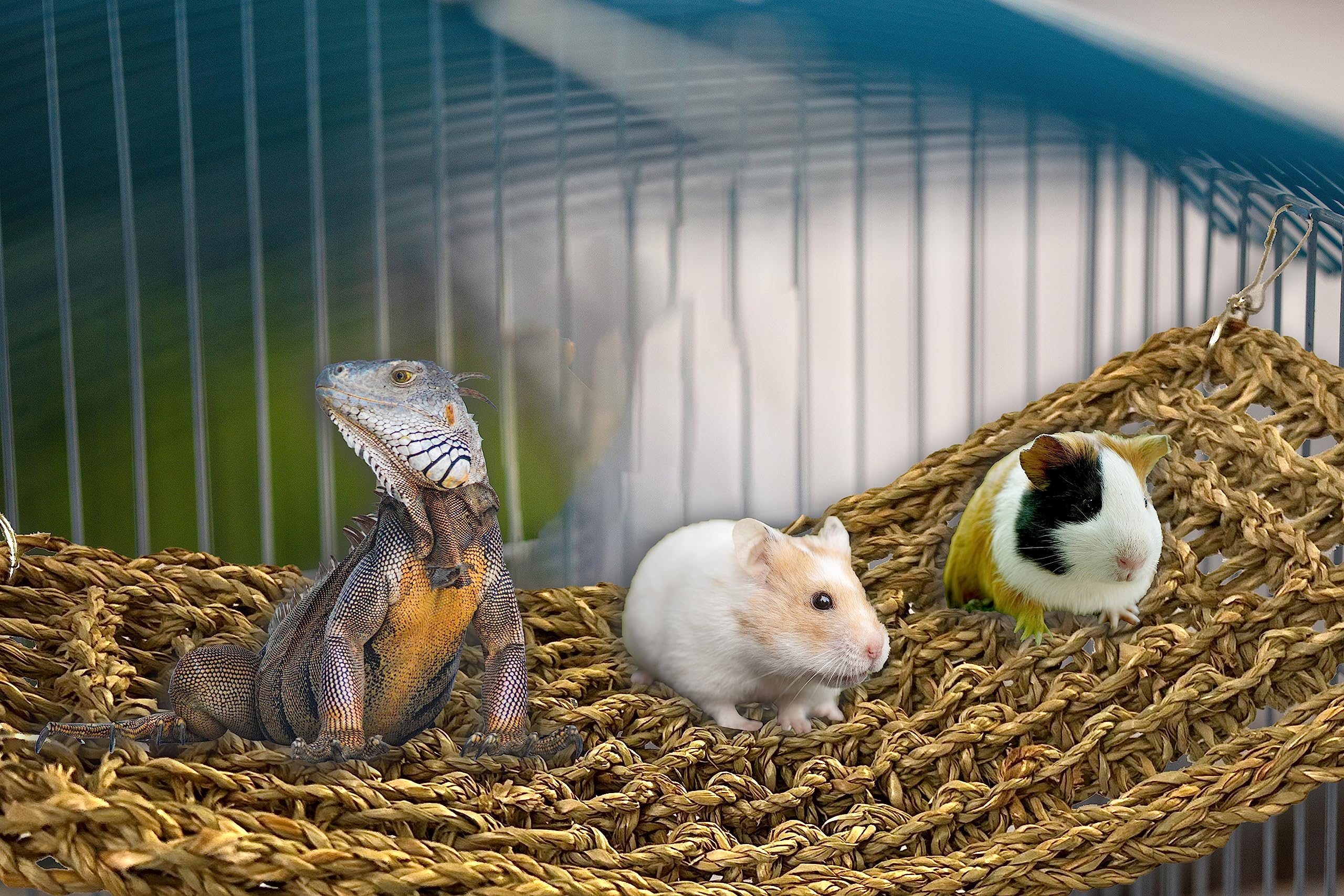 SIMENA chew toys for parrots provide safe chewing and beak exercise opportunities.