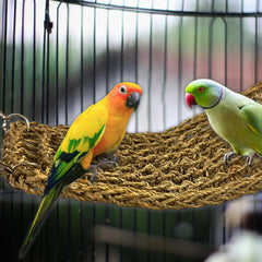 SIMENA natural grass woven hammock adds a cozy perch for daytime lounging.