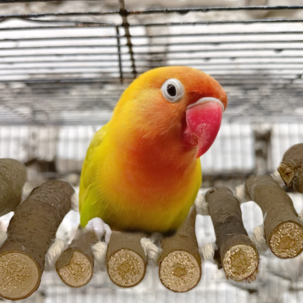 SIMENA parrot-bridge-installed-in-cage shows easy setup for busy owners.