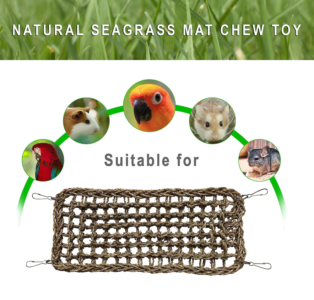 SIMENA small-bird habitat setup showcases a complete enrichment area within a cage.