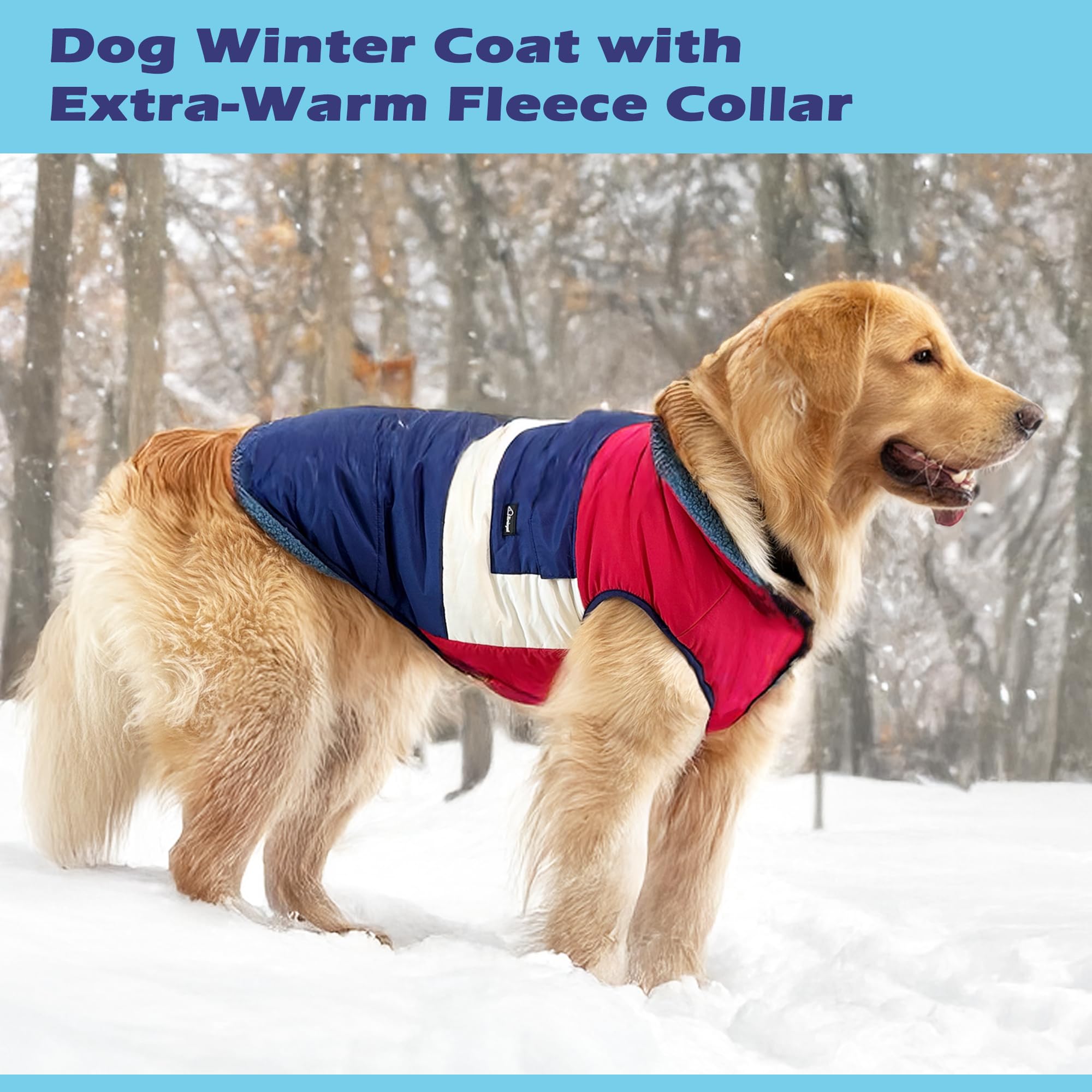 Simloyal warm dog coat worn by a dog during an outdoor stroll