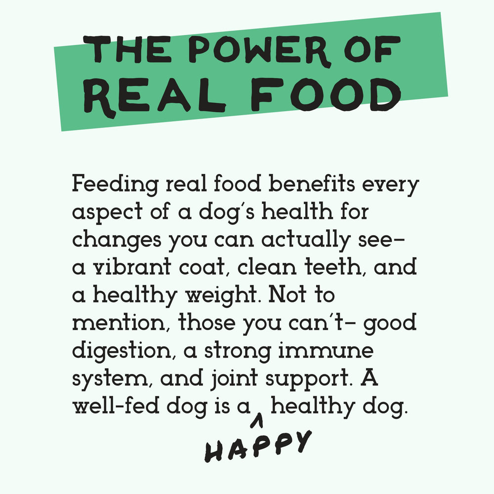 Simple Food Project bison recipe serving bowl—topper or complete meal option