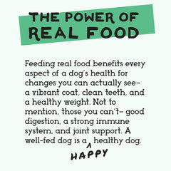 Simple Food Project bison recipe serving bowl—topper or complete meal option