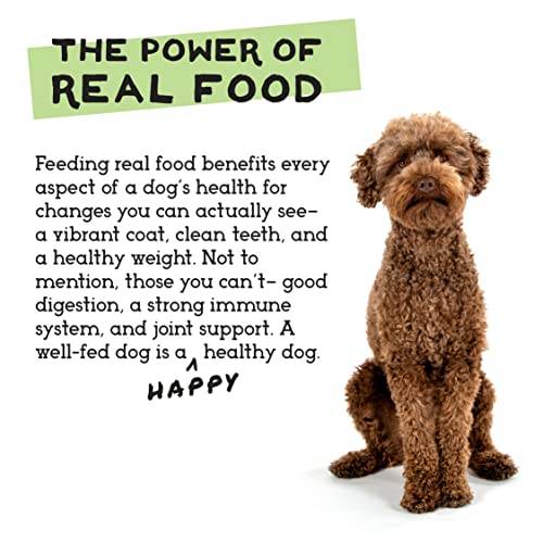 Simple Food Project wild-caught-krill-norway notes Norway-sourced krill