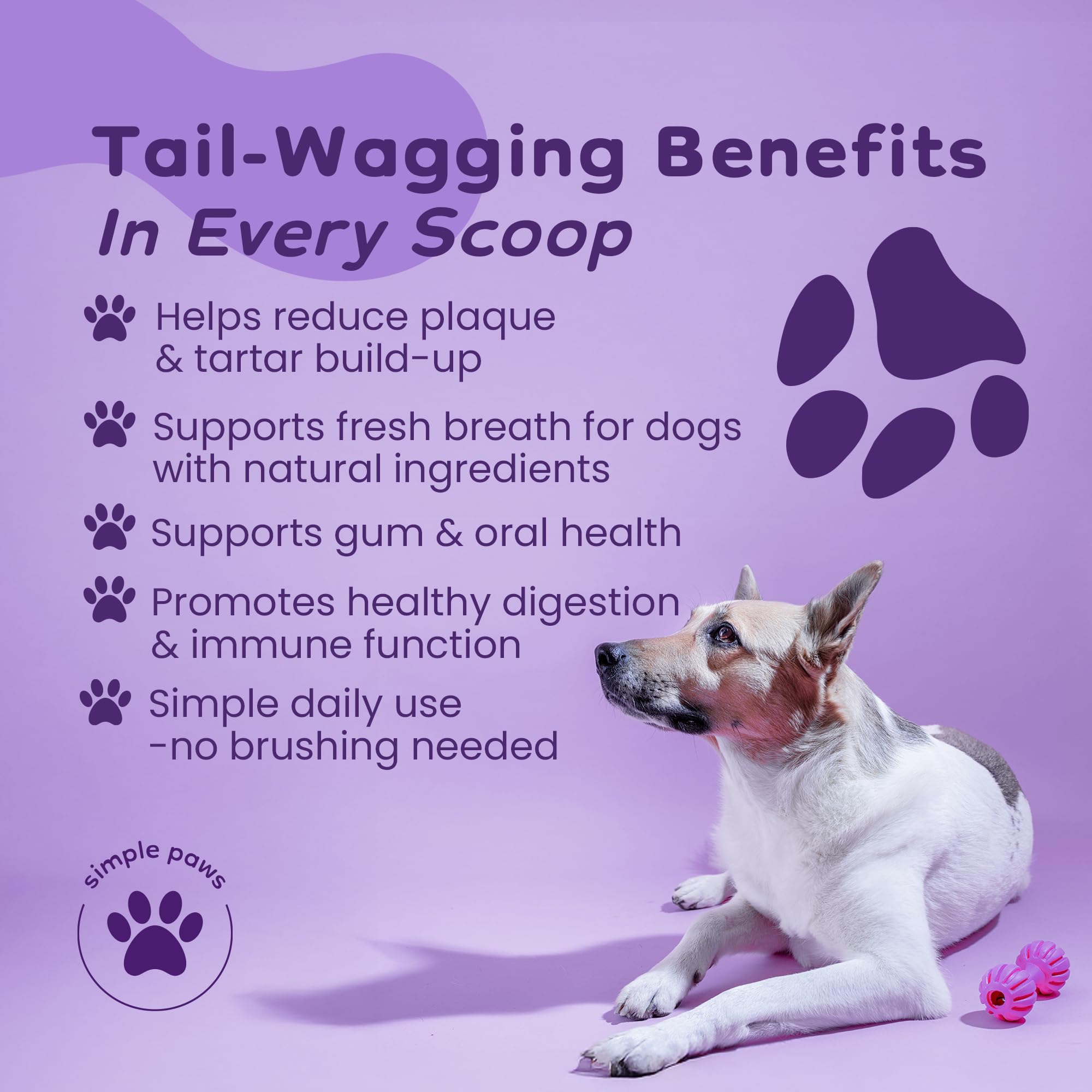 Simple Paws chicken-flavored powder tub emphasizes tasty oral care for dogs.