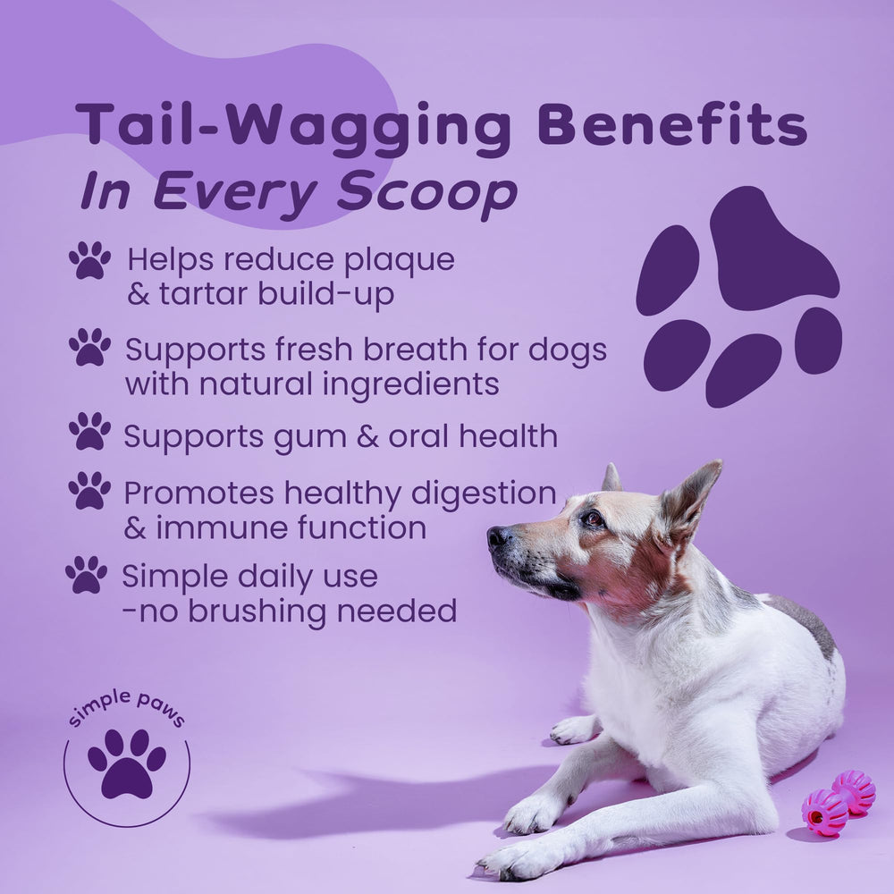 Simple Paws chicken-flavored powder tub emphasizes tasty oral care for dogs.