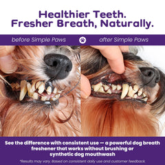 Simple Paws dog-food-dusting powder shows easy integration into meals for cleaner teeth.
