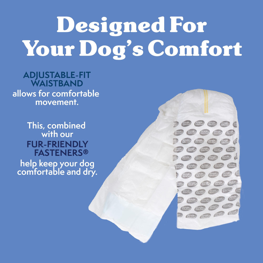 Simple Solution puppy-training uses reliable protection during house training.