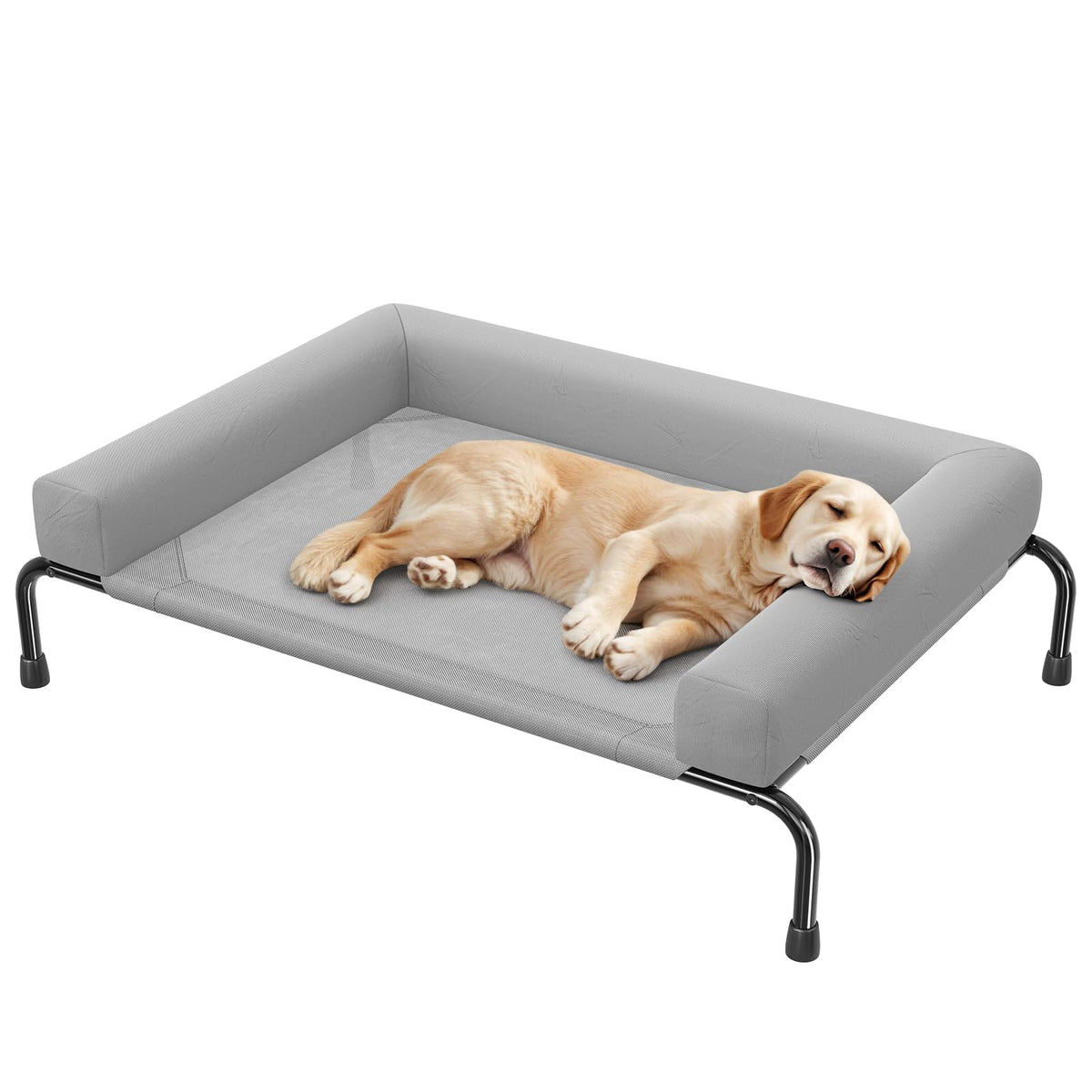Simple Trending elevated dog bed assembled outdoors showcasing sturdy frame for outdoor lounging