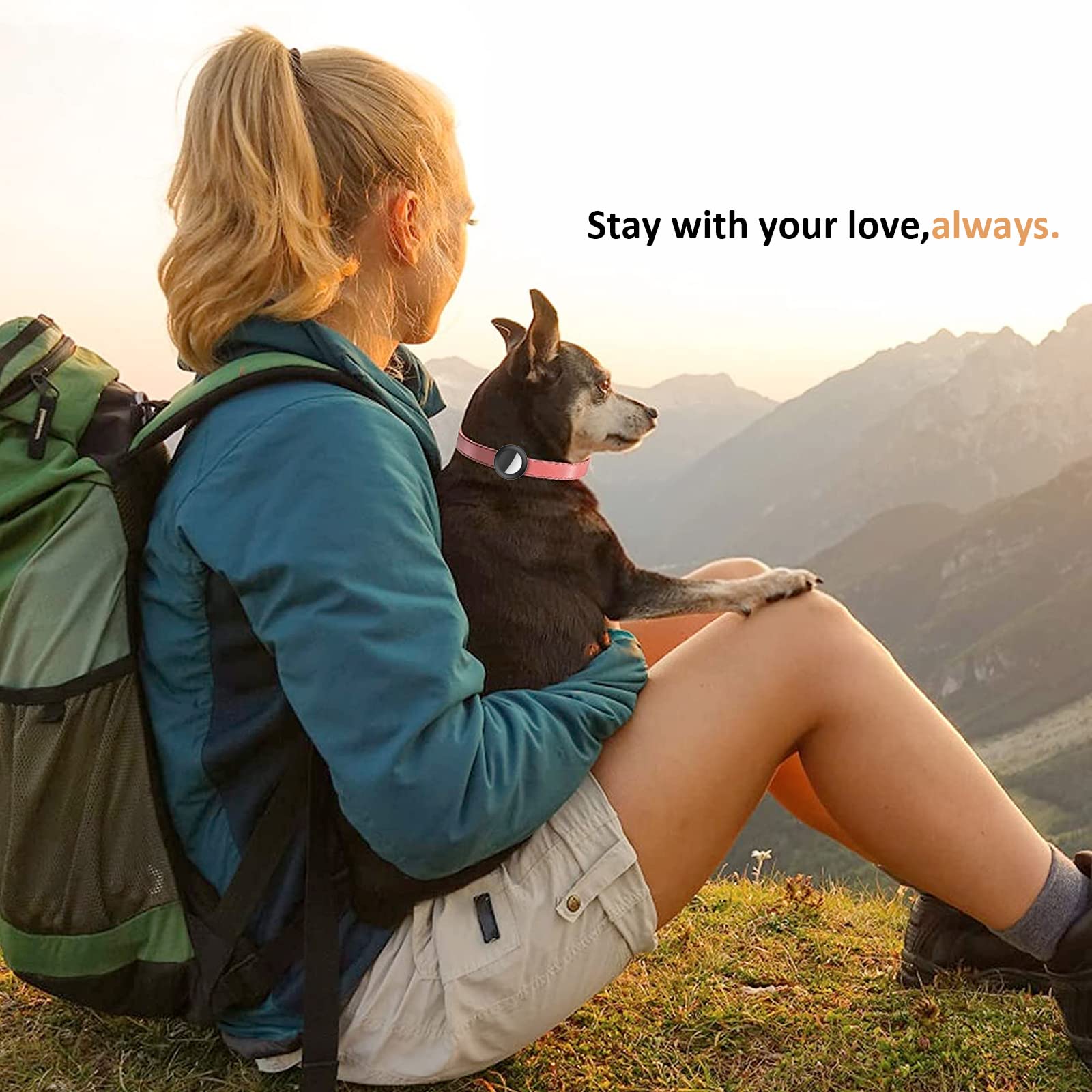 SimpleThings AirTag cat collar holder fits 3/8-inch collars—perfect for cats.