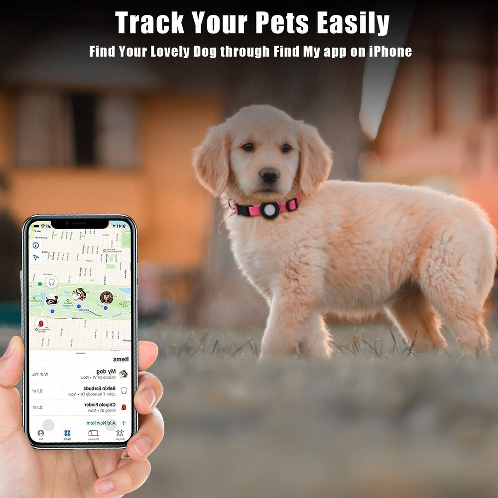 SimpleThings AirTag collar with D-ring designed for easy leash attachment during walks