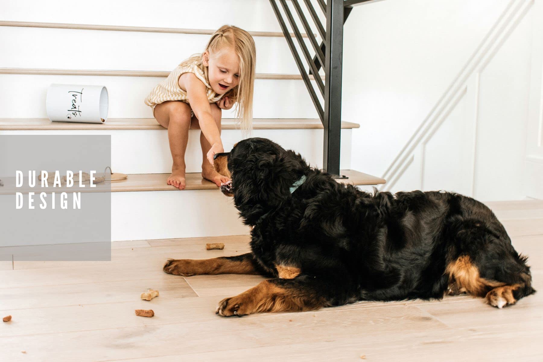 Simply Unleashed 98oz capacity fits a variety of treats for busy households