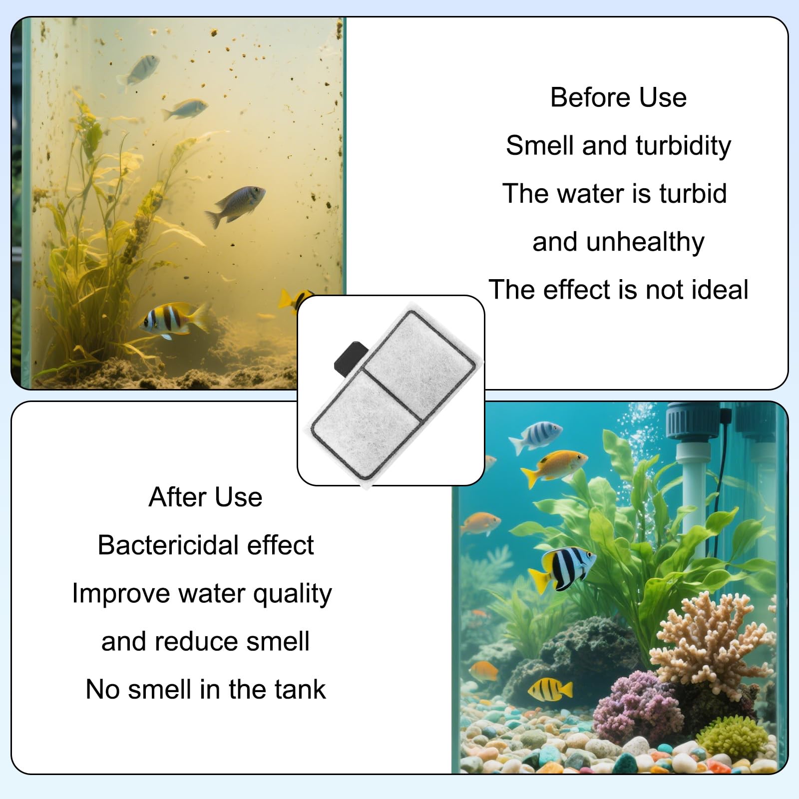 Sinbana aquarium scene showing clear water and healthy fish