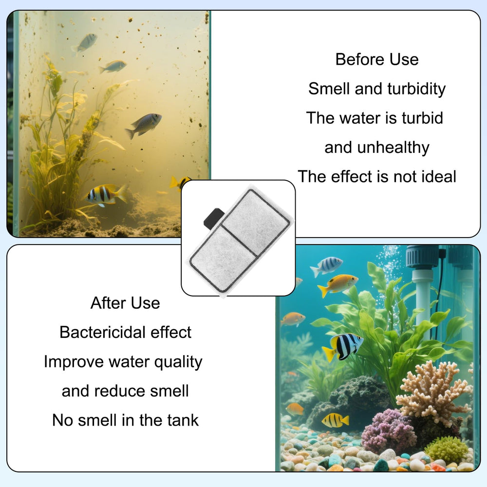 Sinbana aquarium scene showing clear water and healthy fish