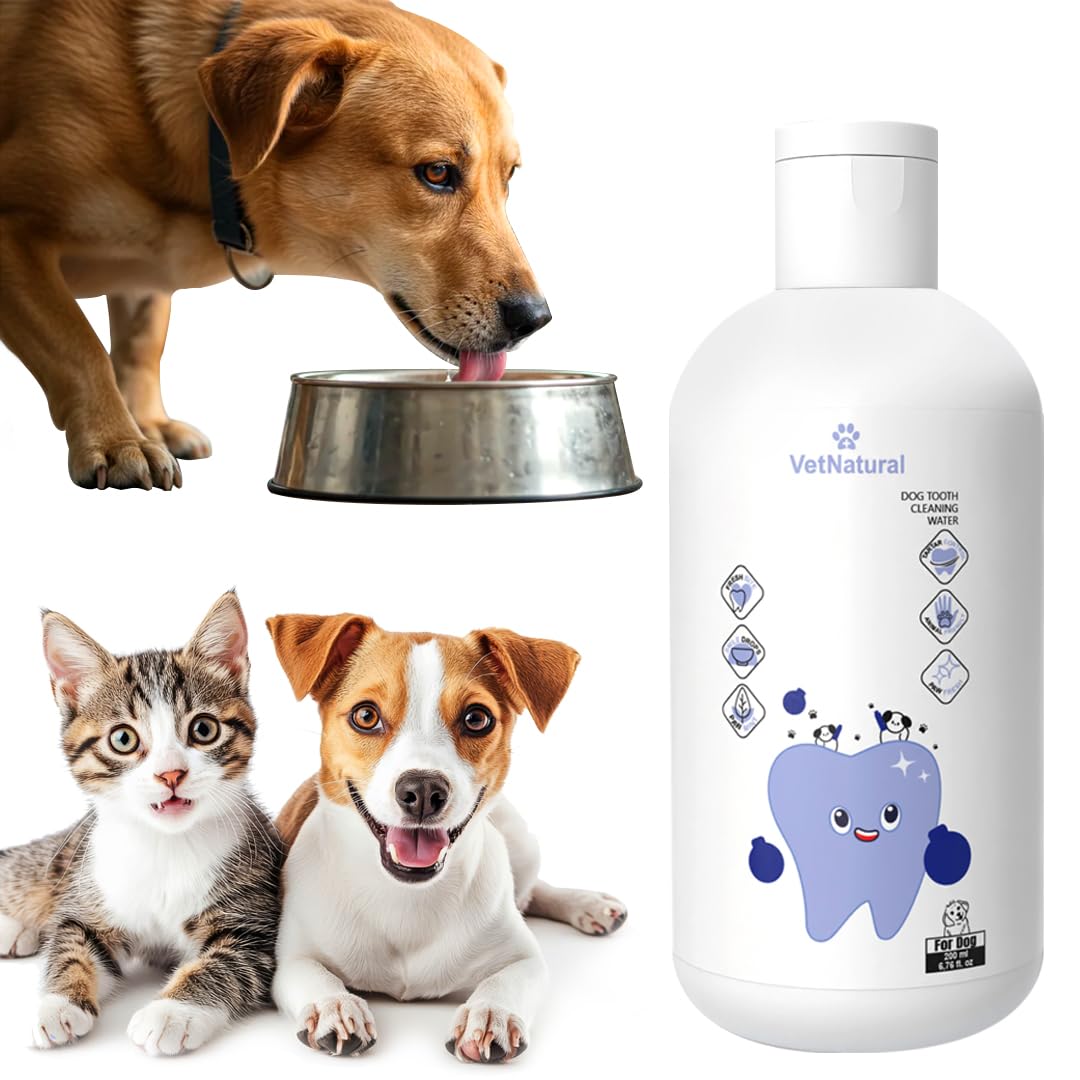 SINCE 1871 GÜLLÜOGLU PawBright Dental Plus bottle cap for easy daily dosing.