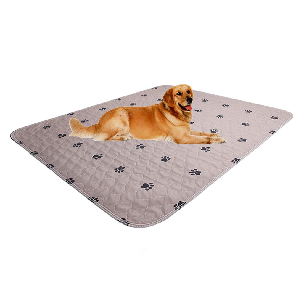 SincoPet washable pee pad four-layer setup supports reliable training.