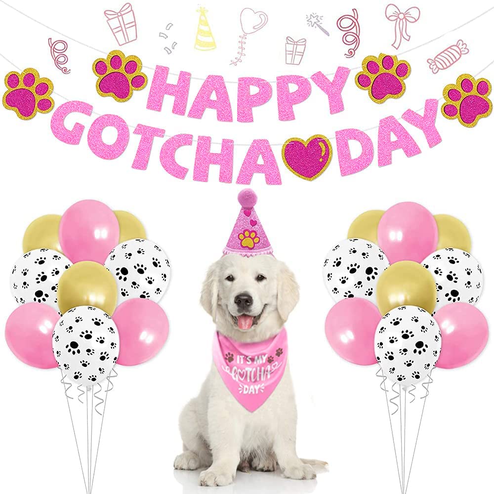 SINFUN Happy Gotcha Day bandana for stylish photos and comfortable wear.