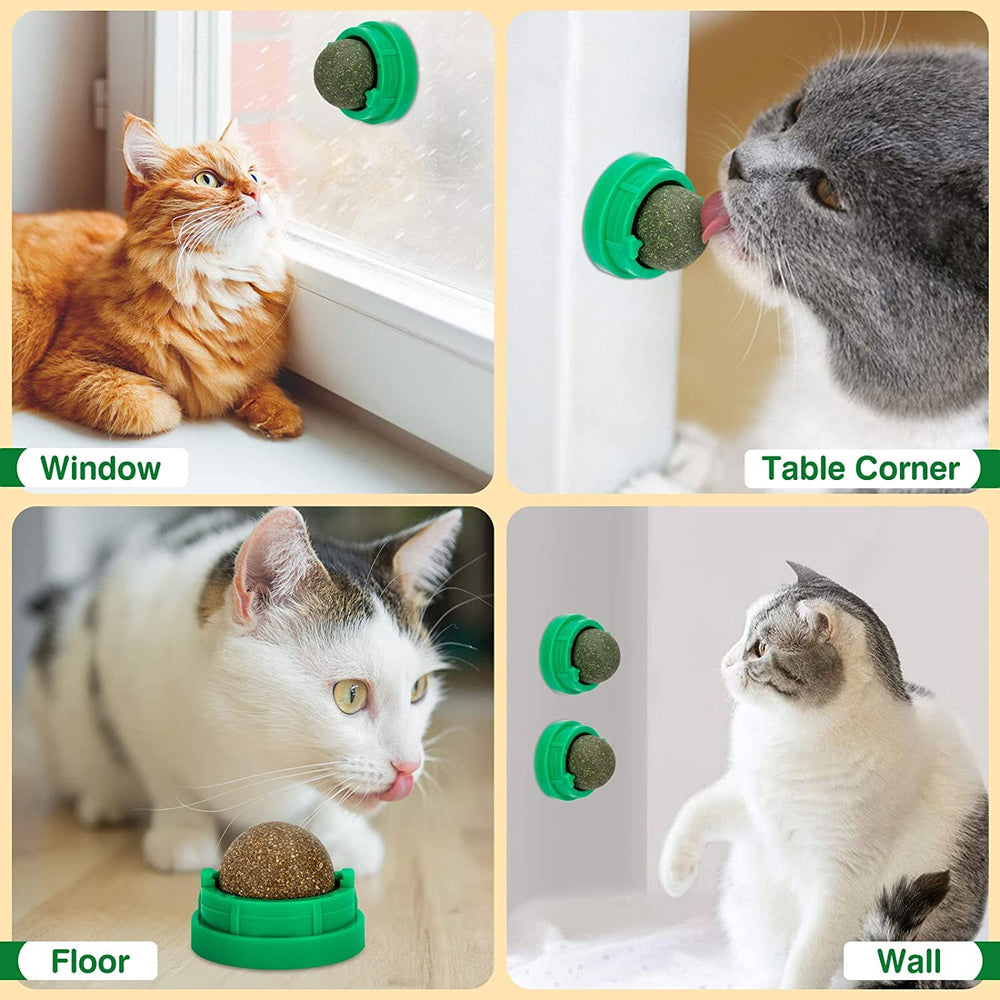 SINROBO teeth-cleaning catnip ball emphasizes dental benefits while entertaining indoor cats.