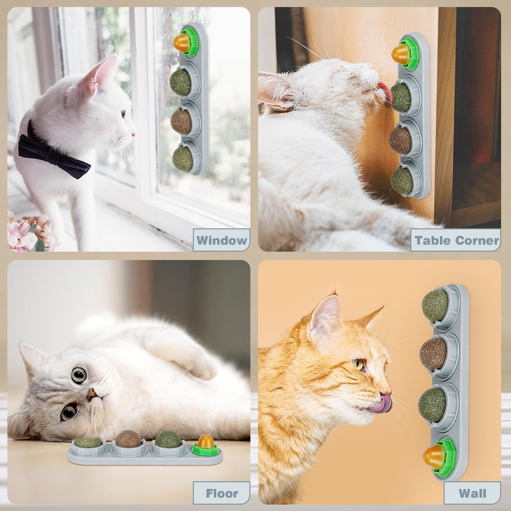 SINROBO Catnip Ball Flavor Display showcases catnip, silvervine, and gall fruit flavors