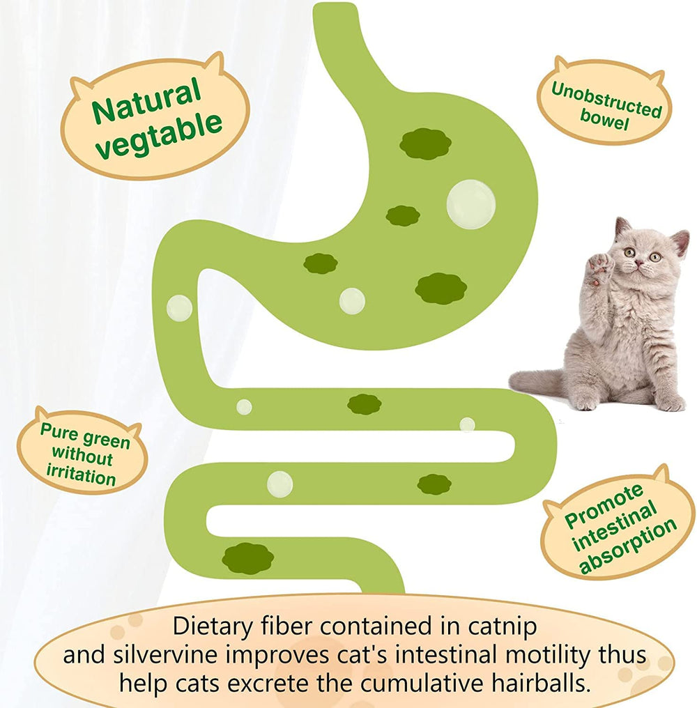 SINROBO 3-pack packaging promises a ready-to-use set for ongoing enrichment.