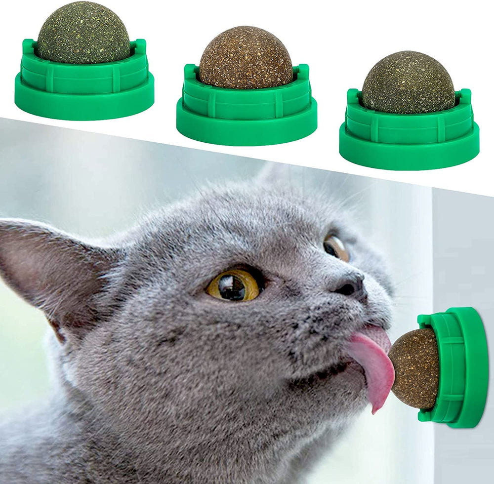 SINROBO catnip ball wall attachment demonstrates a wall-ready toy for interactive play and stress relief.