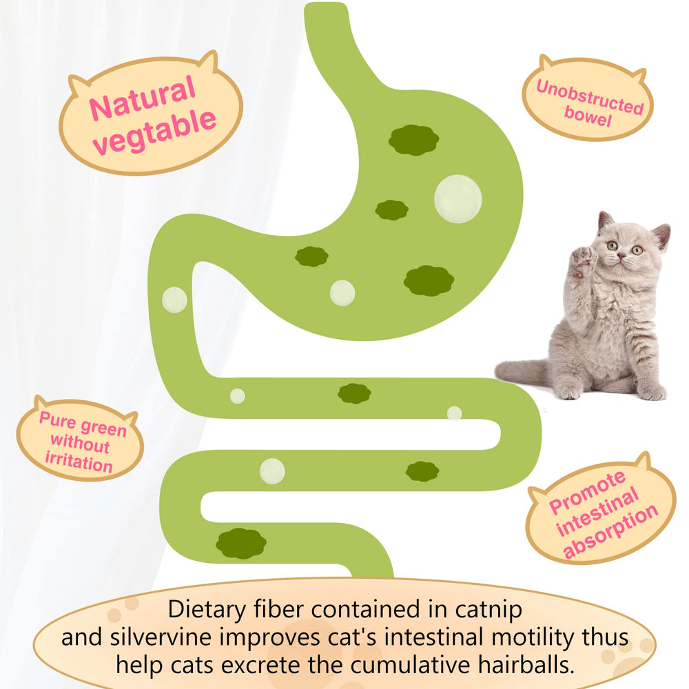 SINROBO catnip balls used indoors for healthy kitten playtime