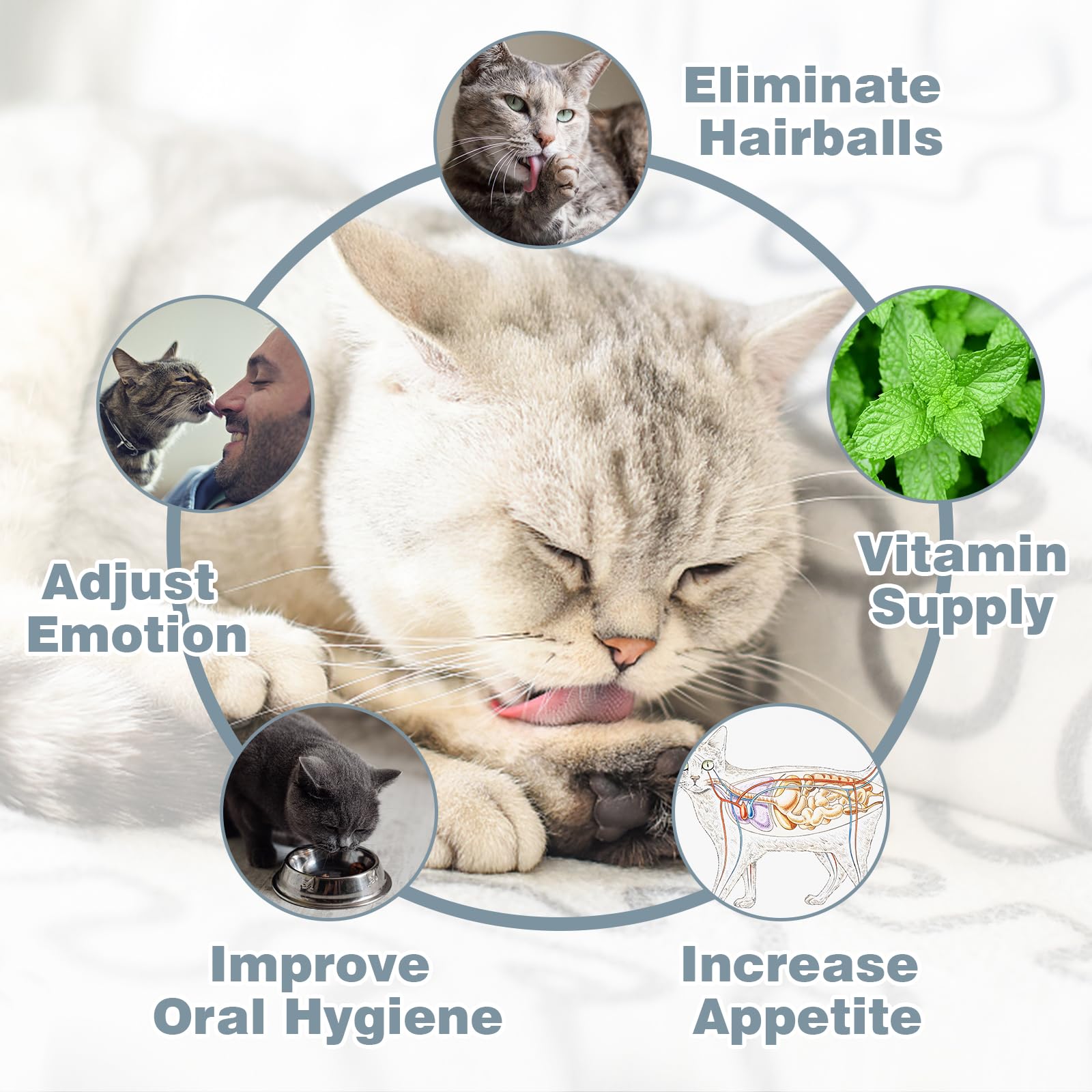 SINROBO Silvervine Ball Close-Up highlights natural flavor and edible texture