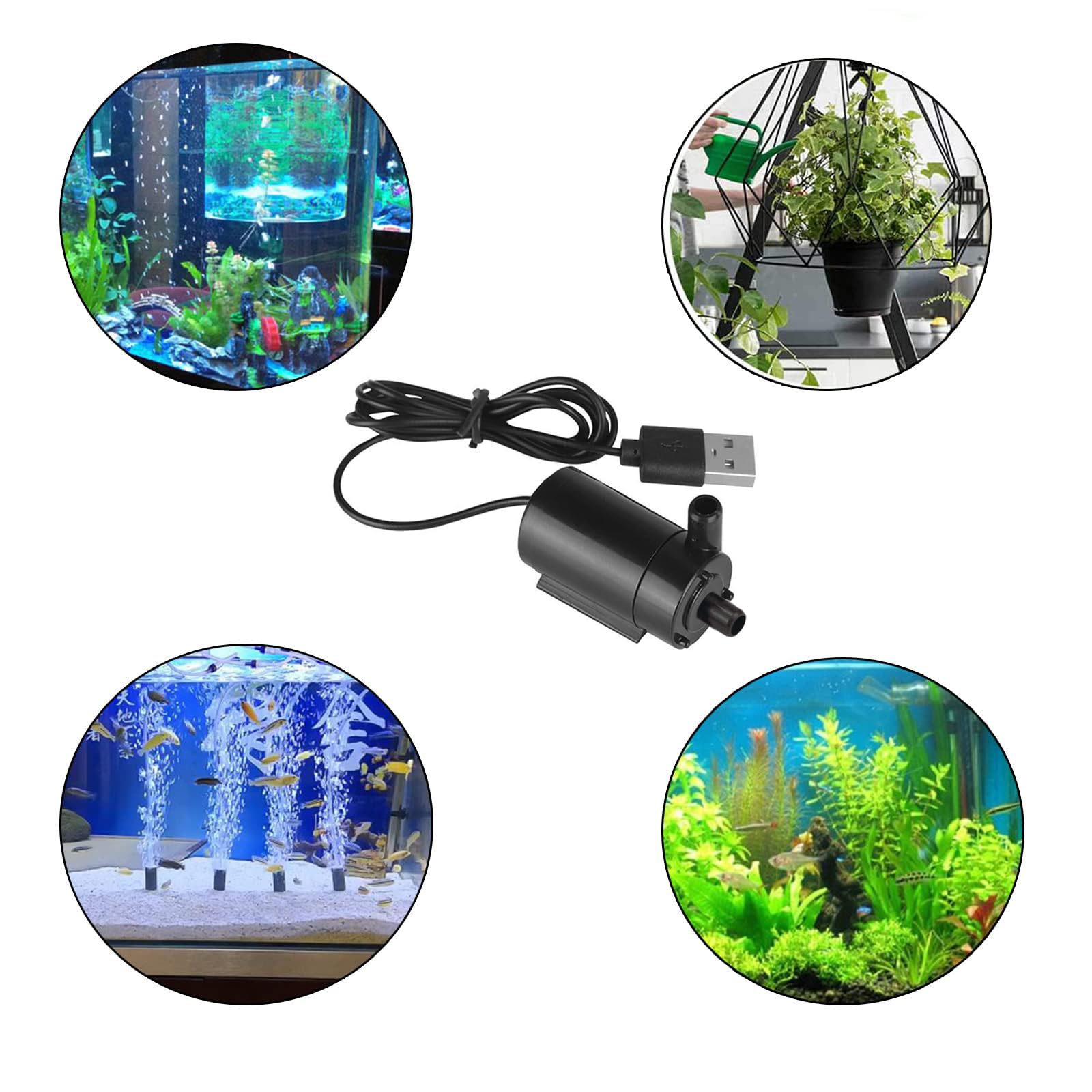 SIPYTOPF pump powering a fountain and pond setup with adjustable flow.