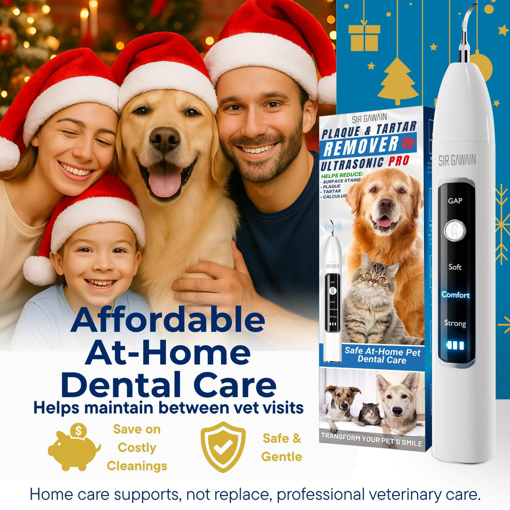 SIRGAWAIN device on a cat's teeth highlights calm, stress-free care.