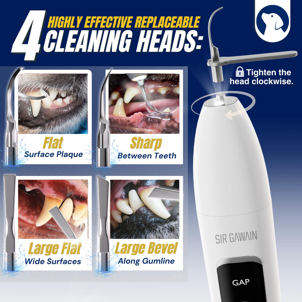 SIRGAWAIN smart touch protection enables gum-friendly control.