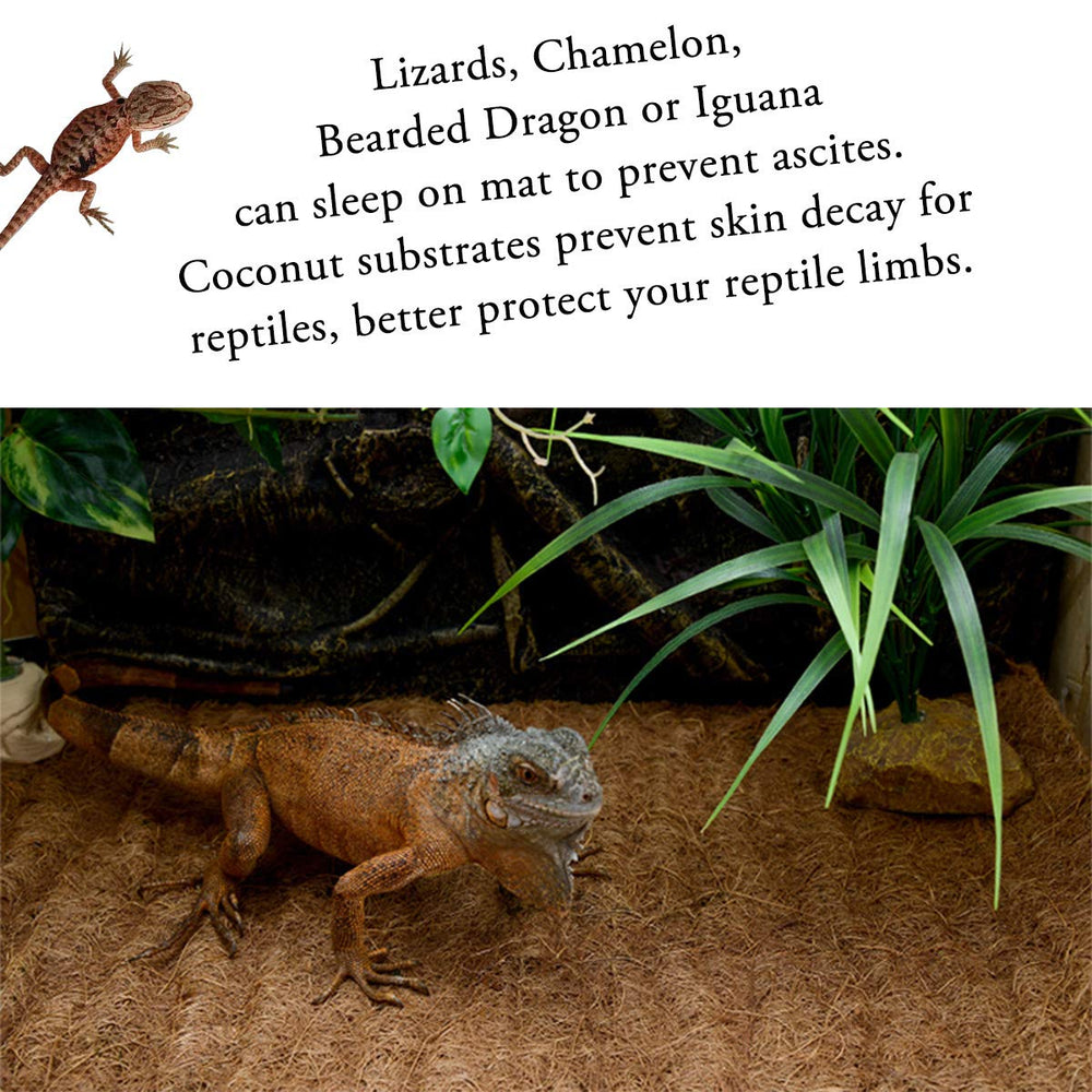 SISIPAI LIFE reptile carpet easy-clean surface resists dirt and dries quickly