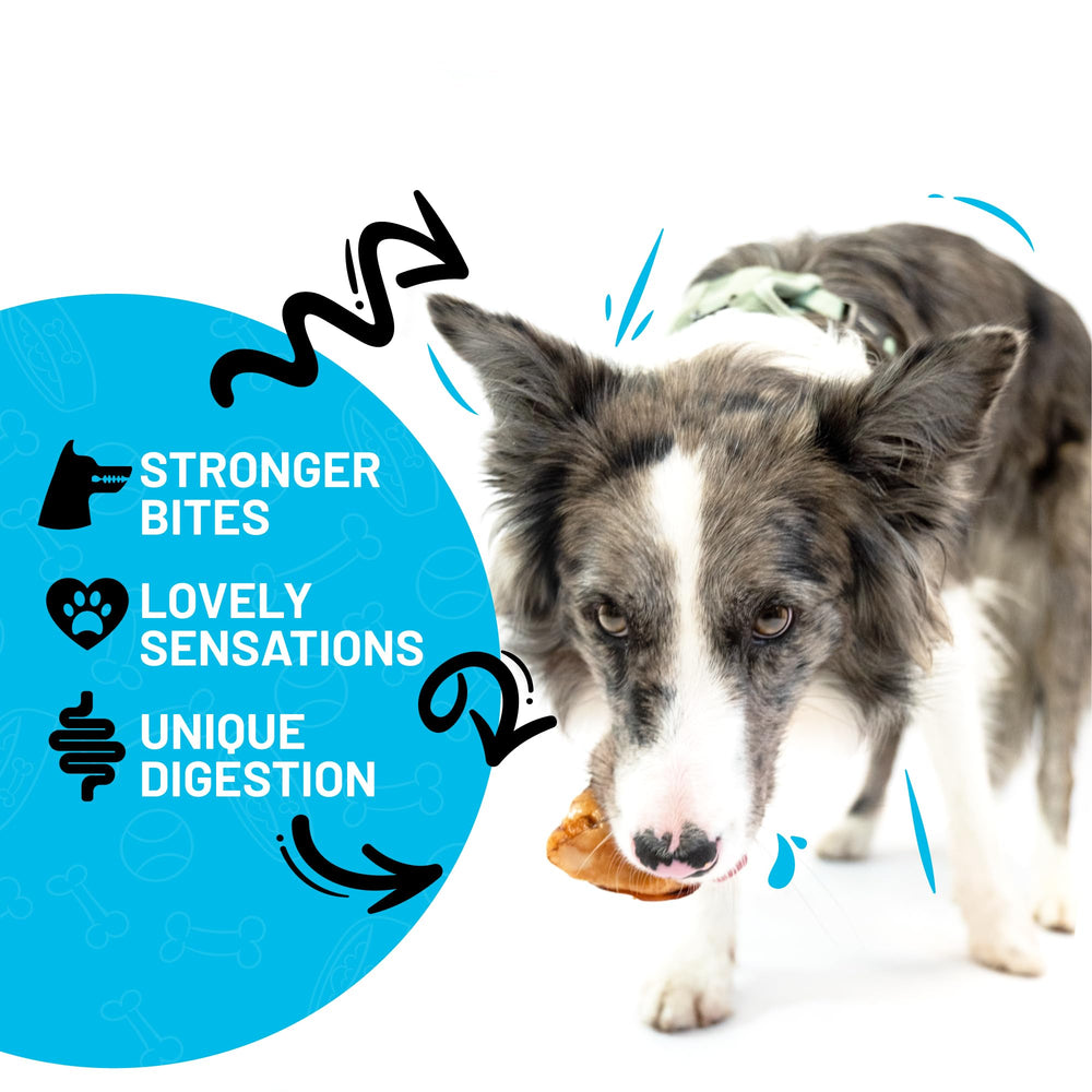 SITKA dog chew treats for aggressive chewers with extra meat image