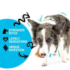 SITKA dog chew treats for aggressive chewers with extra meat image