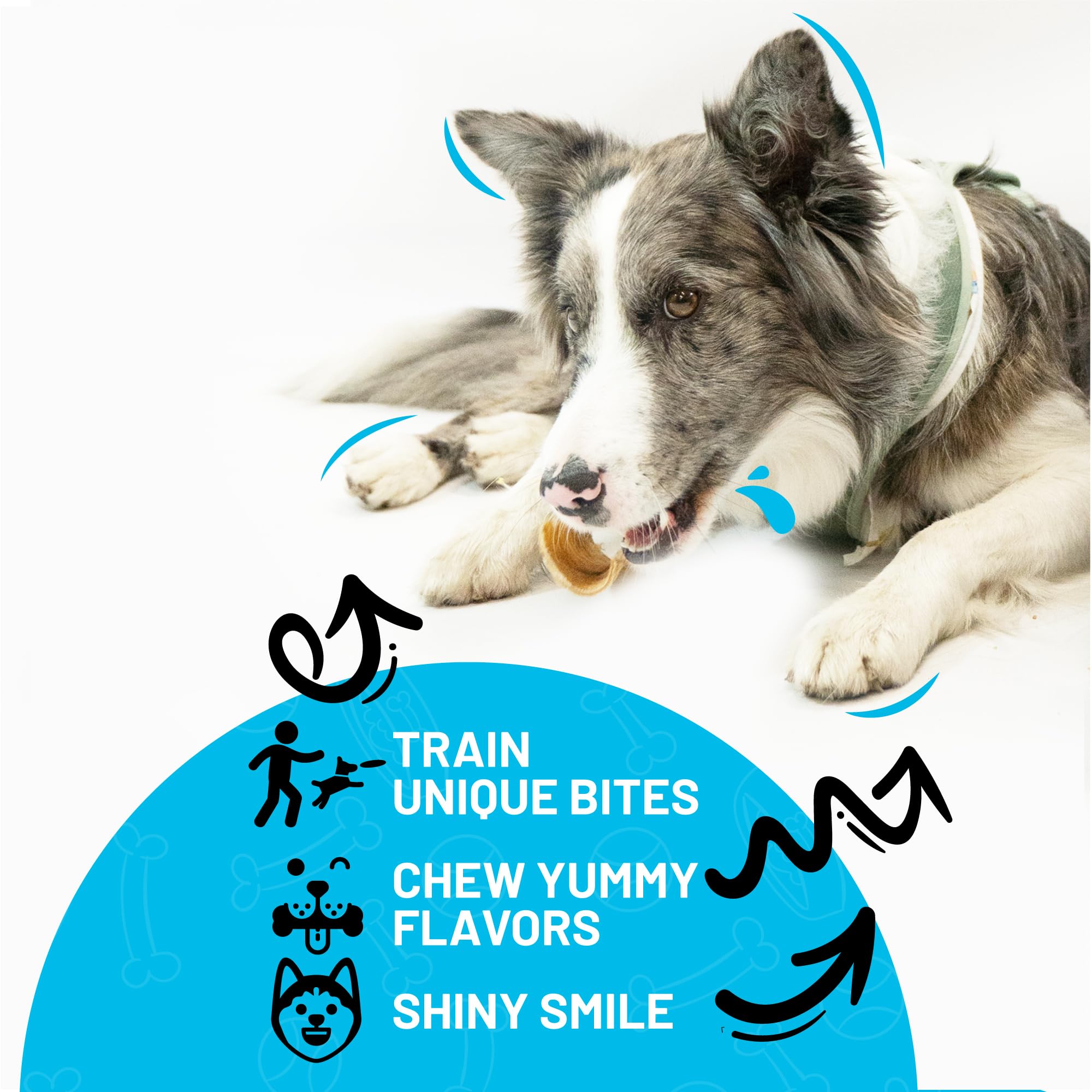 Sitka Beef Trachea Canoes dental-health texture emphasizes dental care potential.