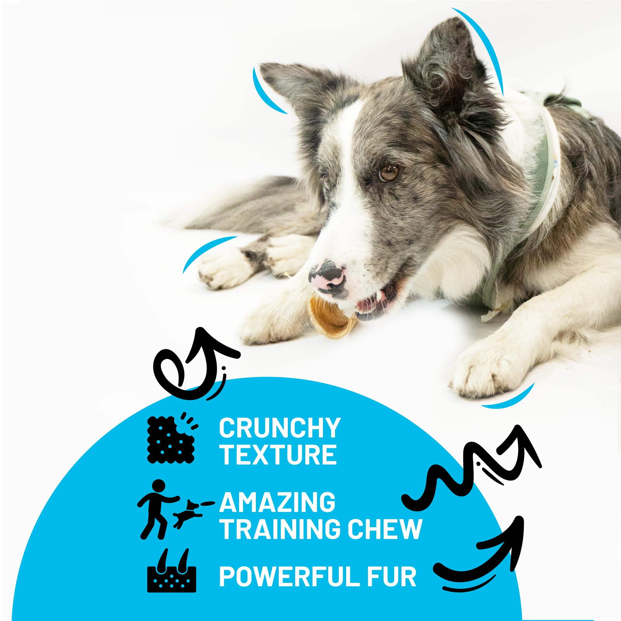 Sitka Farms glucosamine-chondroitin-rich trachea supports joint comfort during playtime