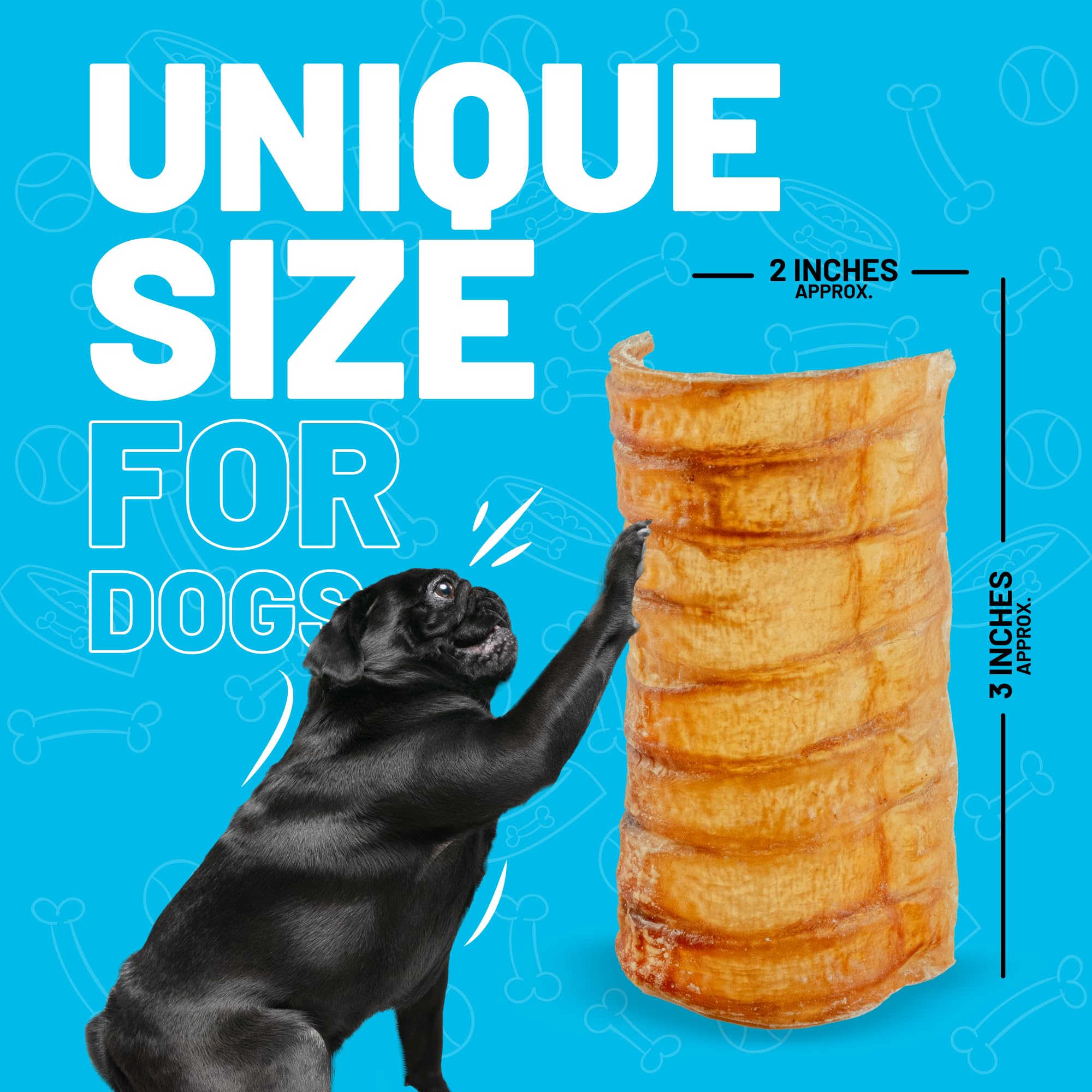 Sitka Beef Trachea Canoes low-fat rawhide-alternative chew option.