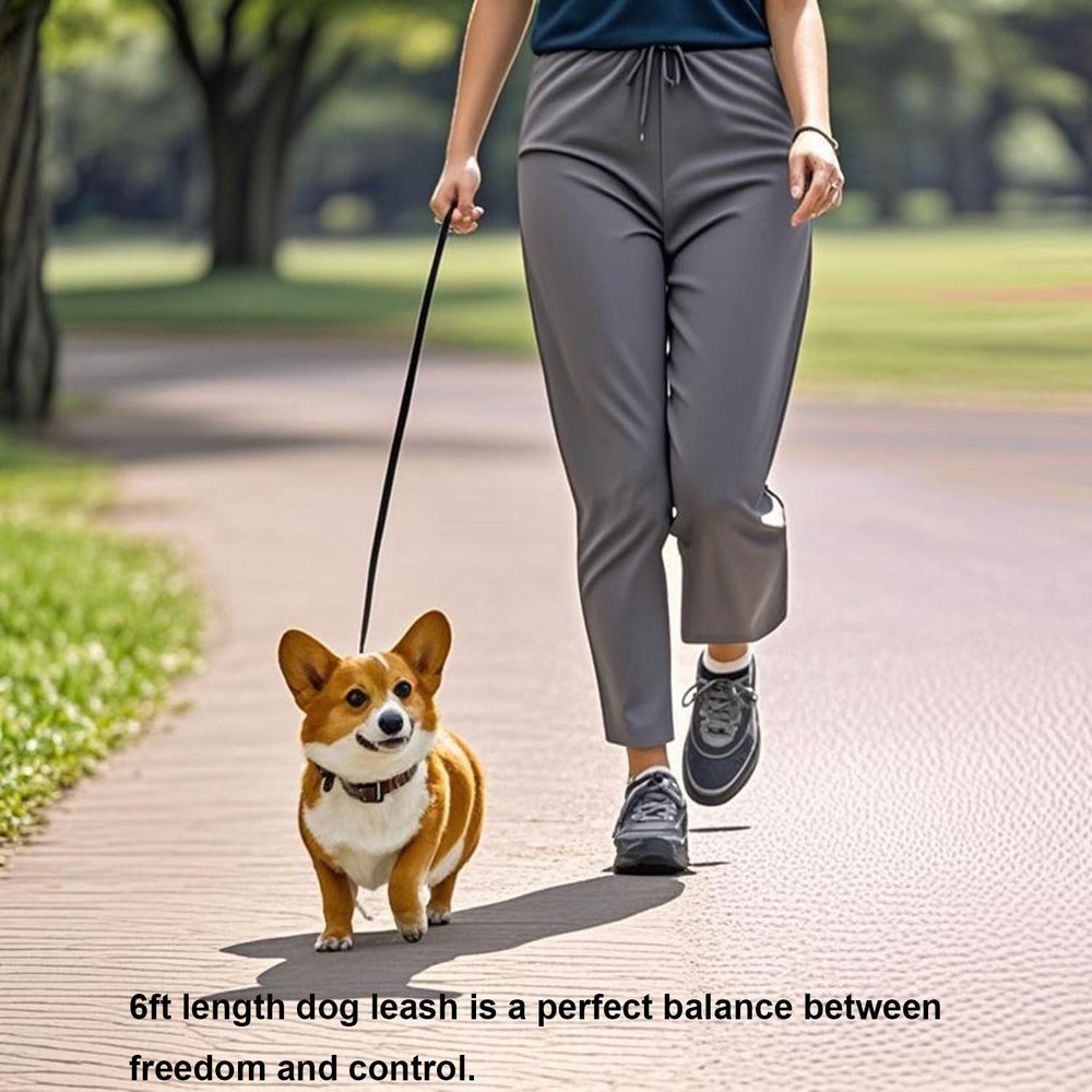 Siumouhoi 6ft puppy leash traditional design for comfortable handling.