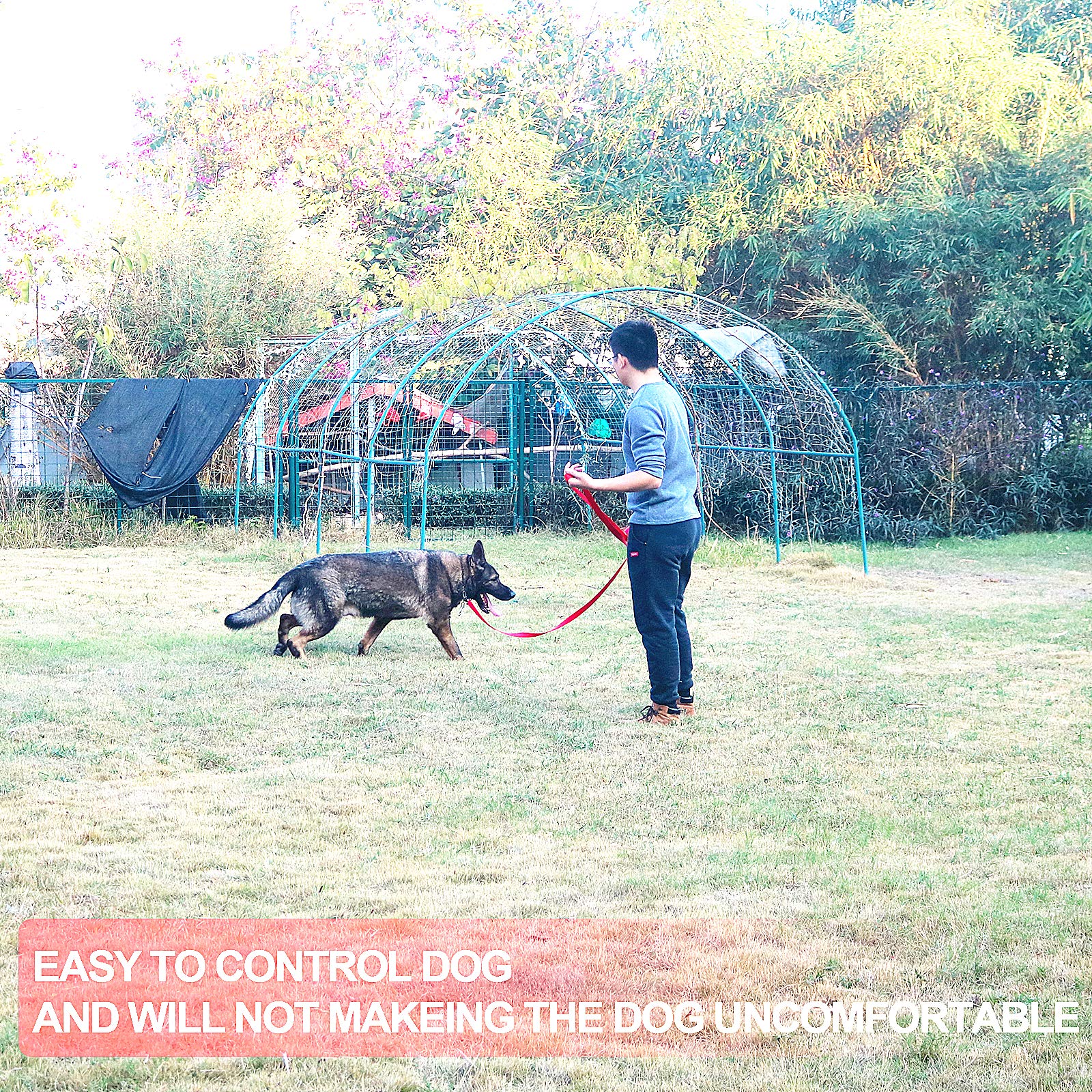 Siumouhoi color-options nylon leash highlighting versatility.