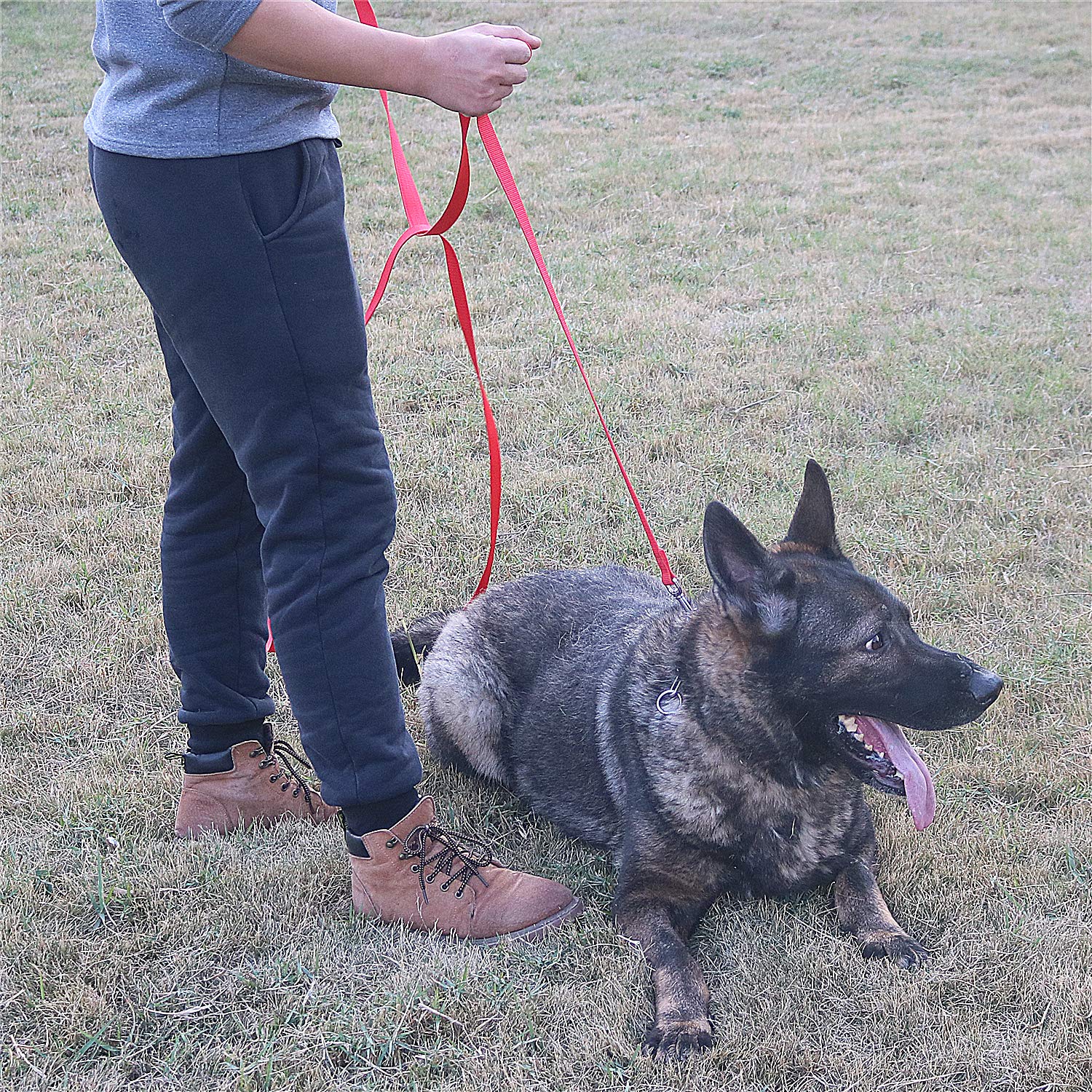 Siumouhoi durable nylon leash in action for off-leash training.